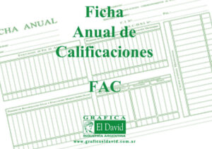 Ficha Anual de Calificaciones