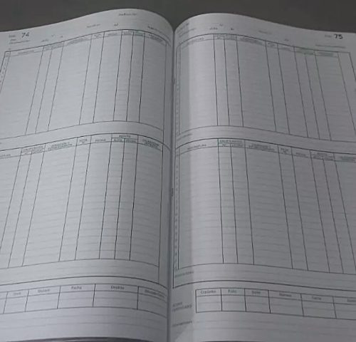 Libro-matriz-2-anos-Interior2.jpg