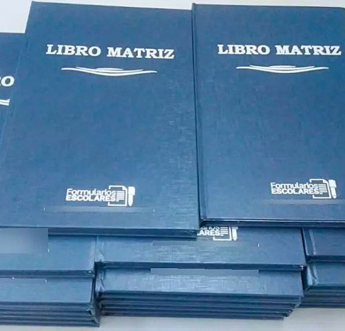 Libro-matriz-2-anos-Varios.jpg