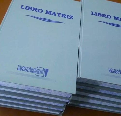 libro-matriz-4-anos-varios.jpg